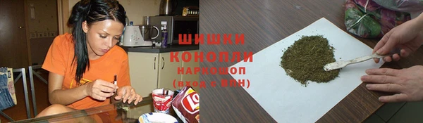тгк Корсаков