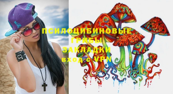 круглые Коряжма