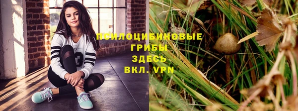 тгк Корсаков