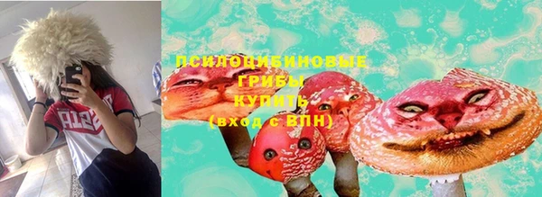 тгк Корсаков